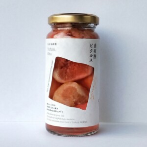 fruitspickles-03